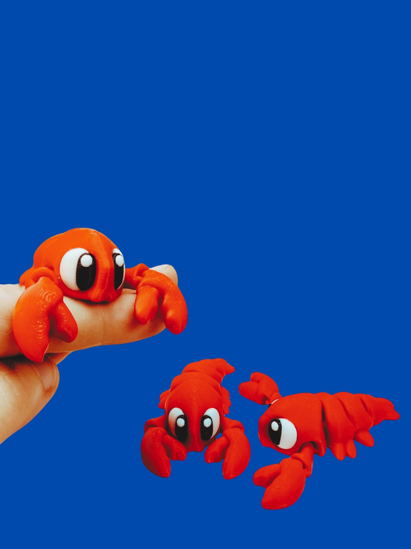 Lobster Companion No. 1: Claw-sual Vibes