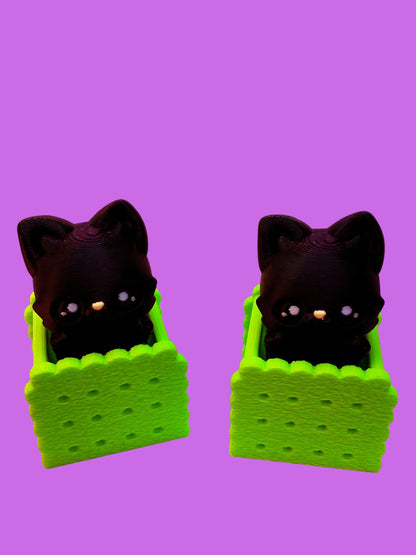 Press: Kitten - Domestic Chaos