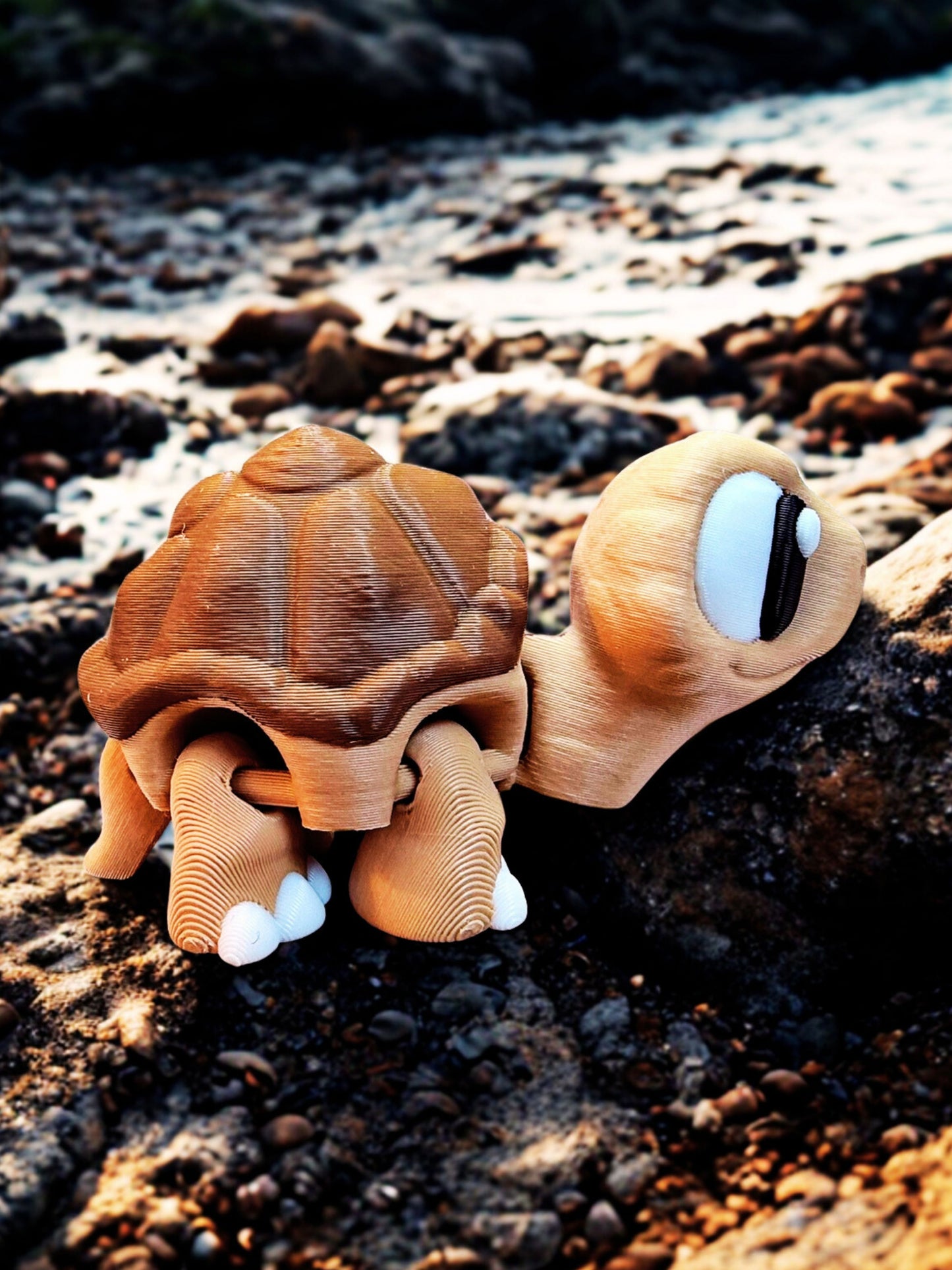 Tortoise Companion: All Good