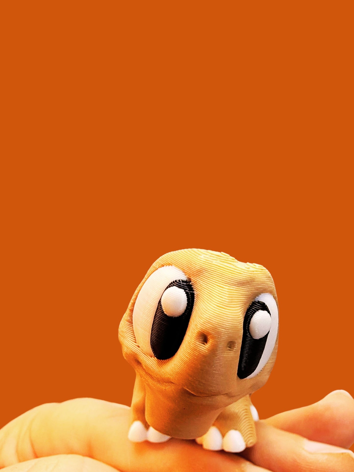 Tortoise Companion: All Good