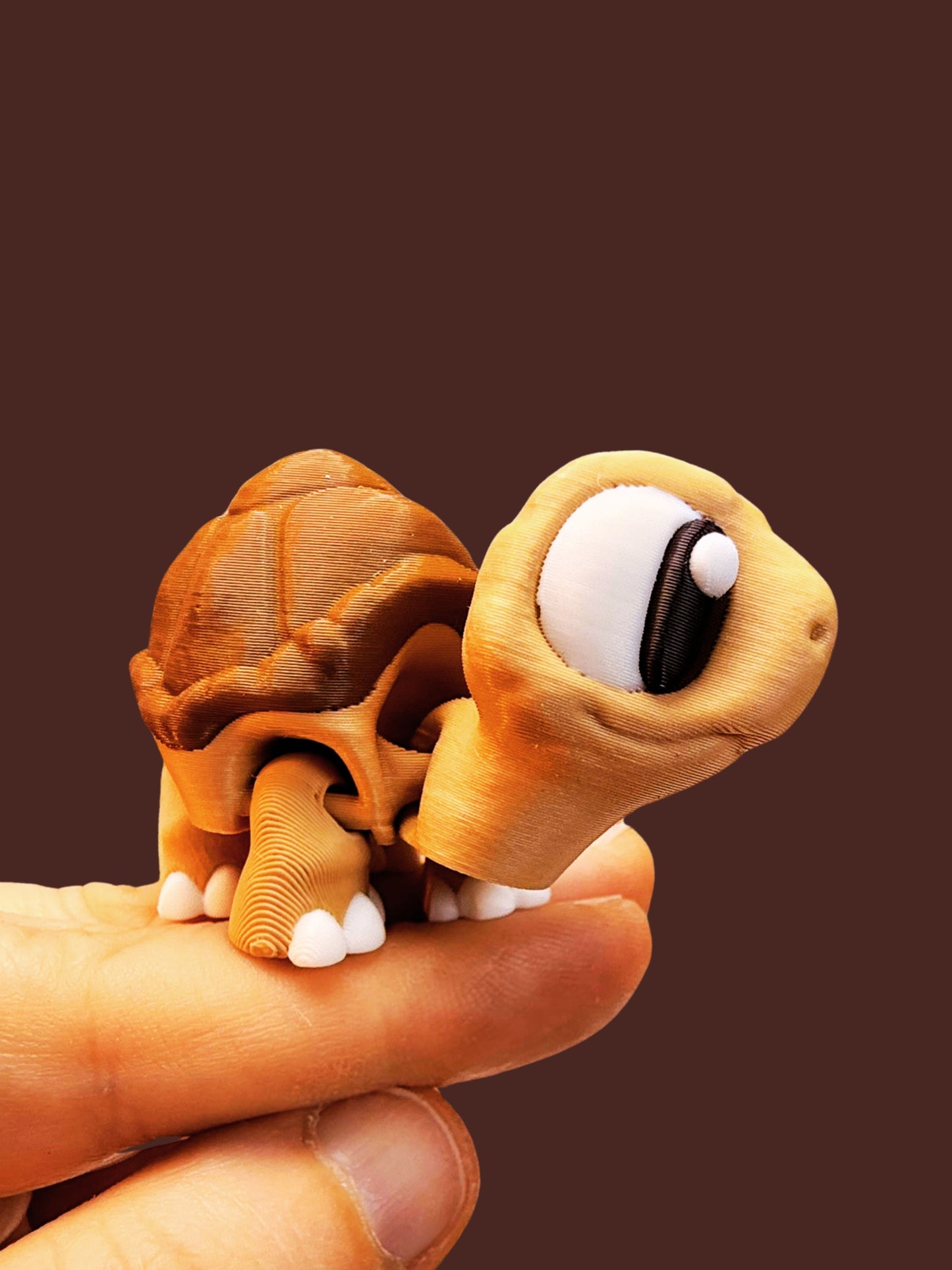 Tortoise Companion: All Good