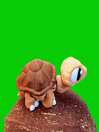 Tortoise Companion: All Good