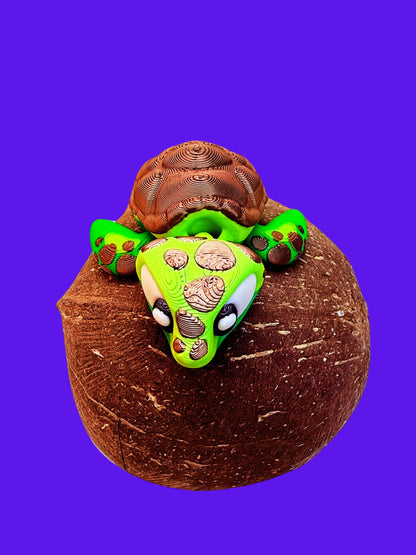 Sea Turtle Companion: Beach Day Edition