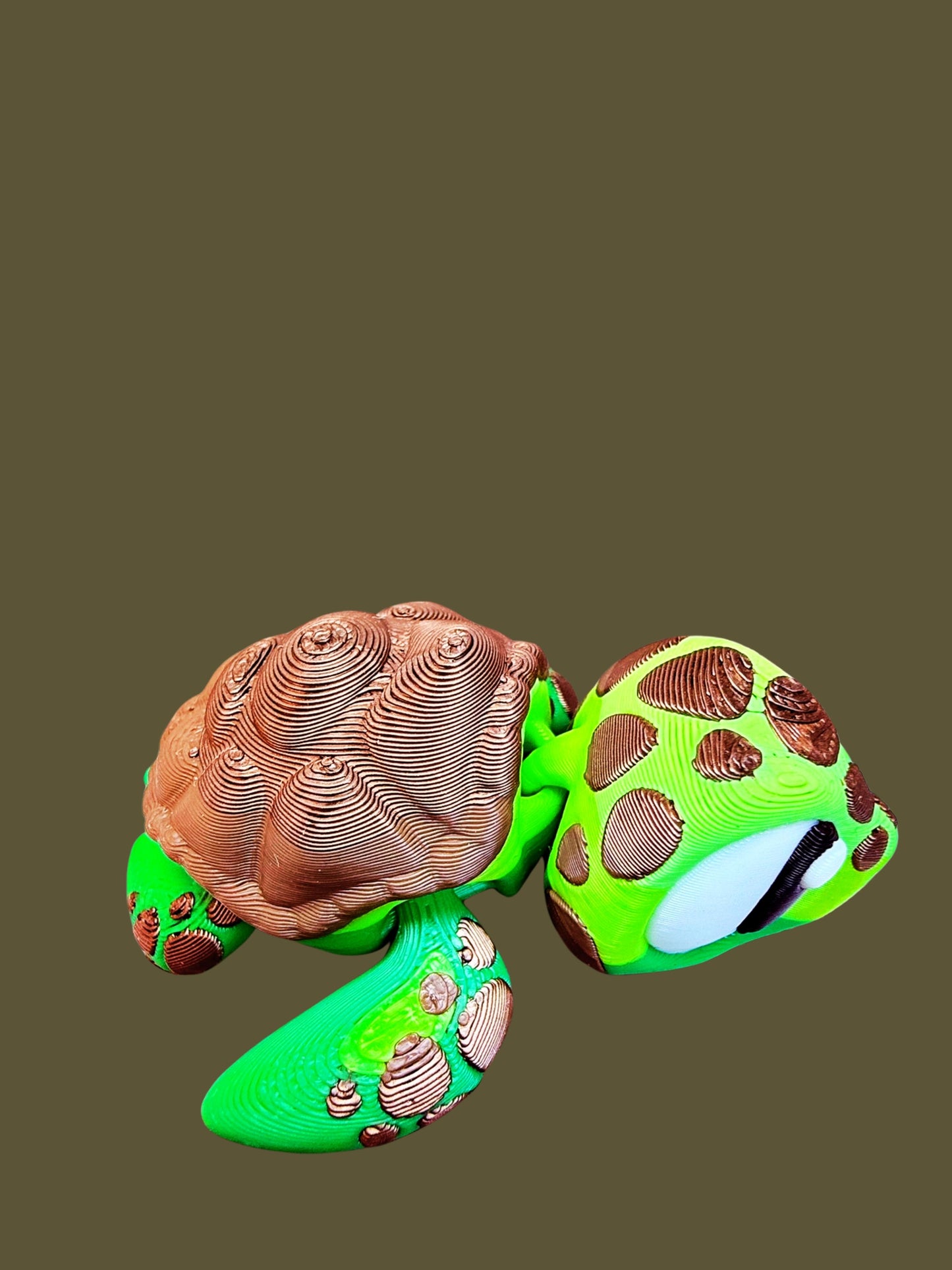 Sea Turtle Companion: Beach Day Edition