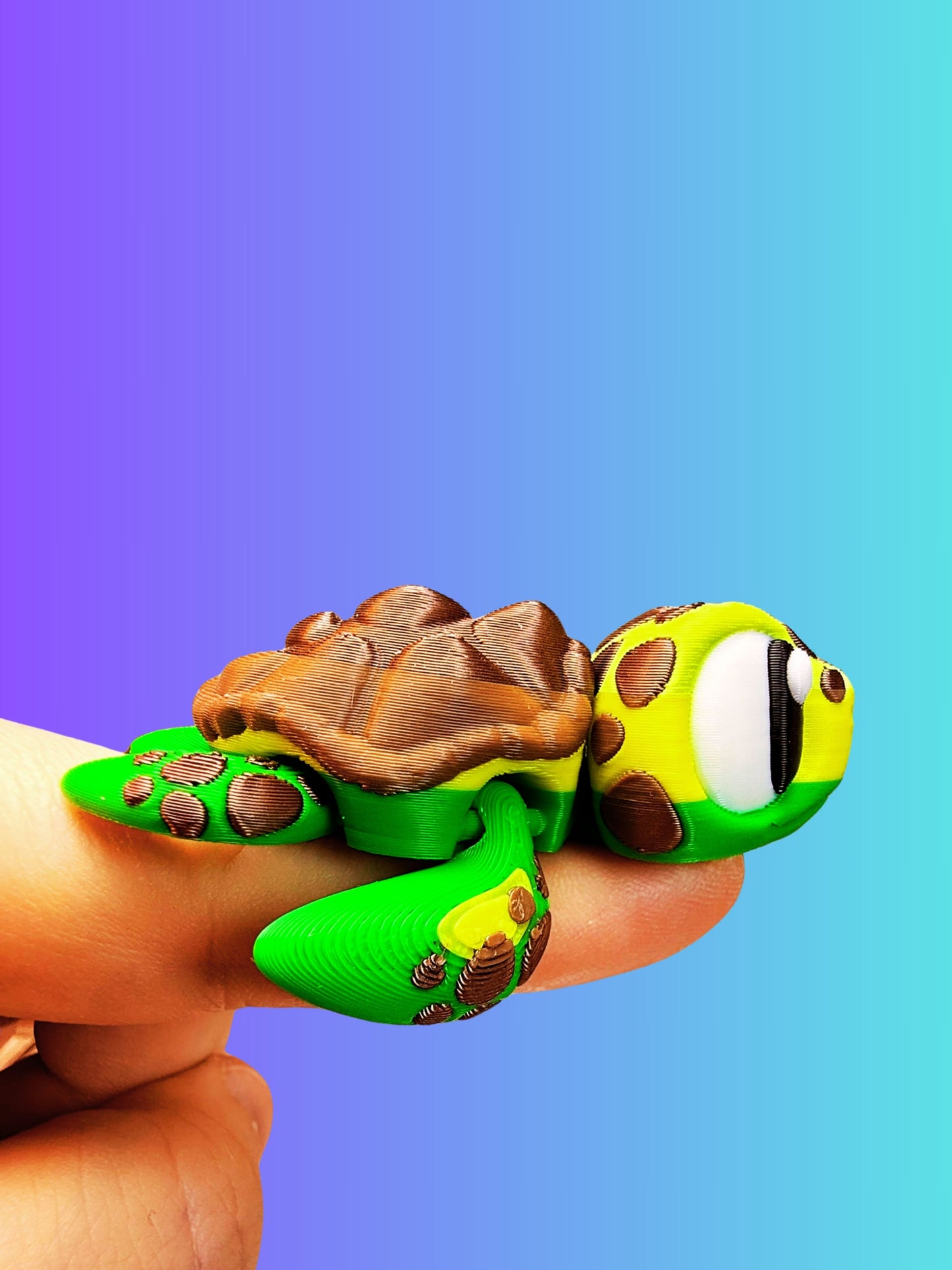 Sea Turtle Companion: Beach Day Edition