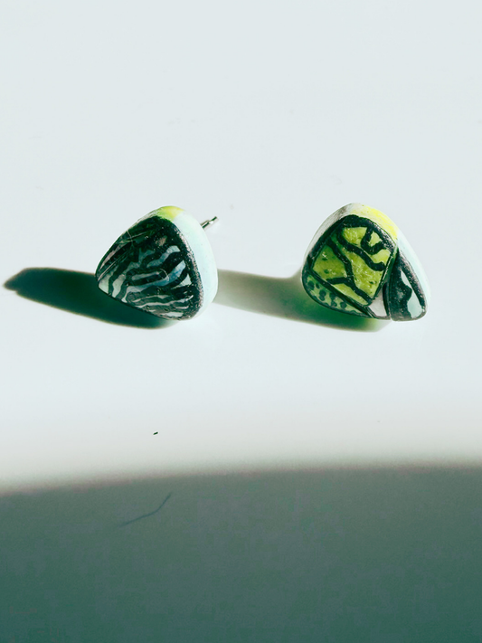 Asymmetry Study - Tidepool Studs