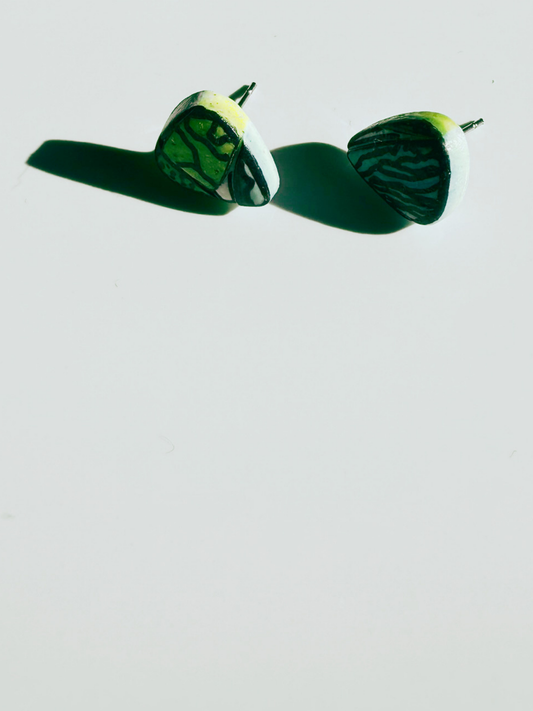 Asymmetry Study - Tidepool Studs