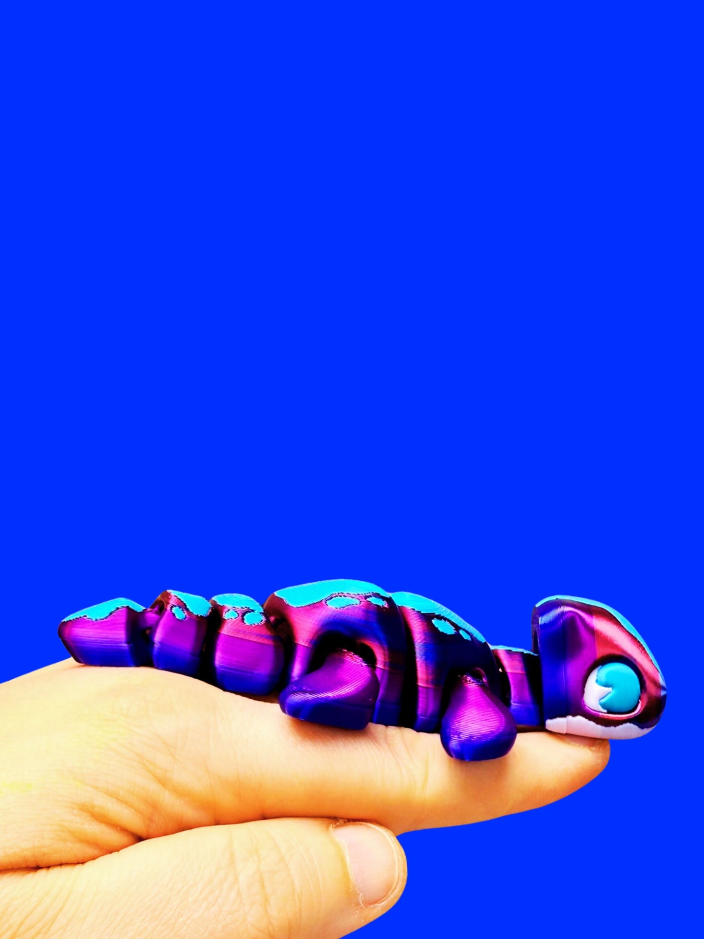 Nessie Companion No. 3: Constellation Edition