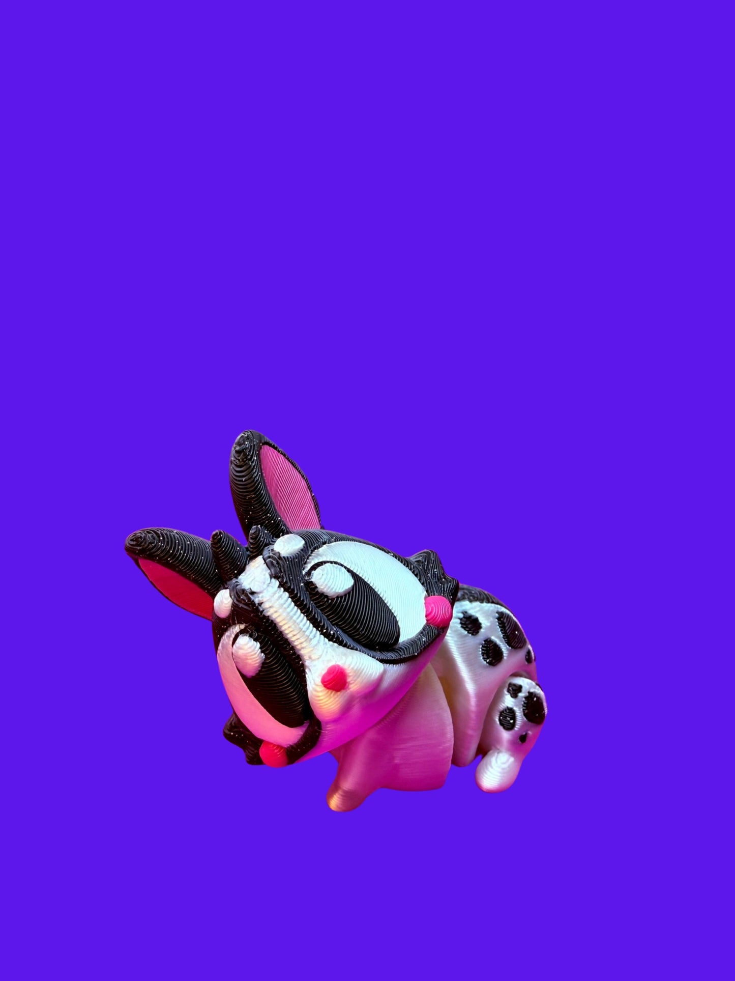 Bunny Companion: Cute, Confirmed