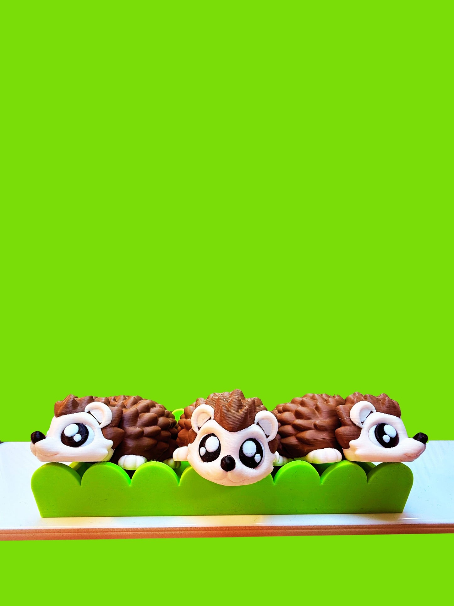 Hedgehog Companion: Wistful Edition